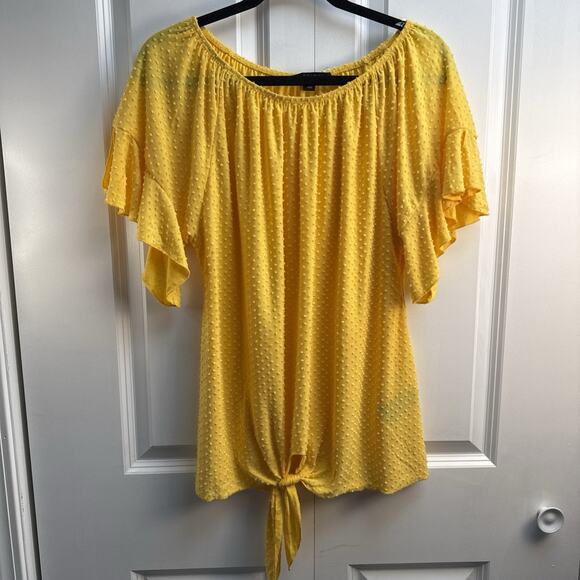 Zac &‎ Rachel Women's XL Yellow Dotted Swiss Ruffle Short Sleeve Tie Front EUC - Picture 5 of 6